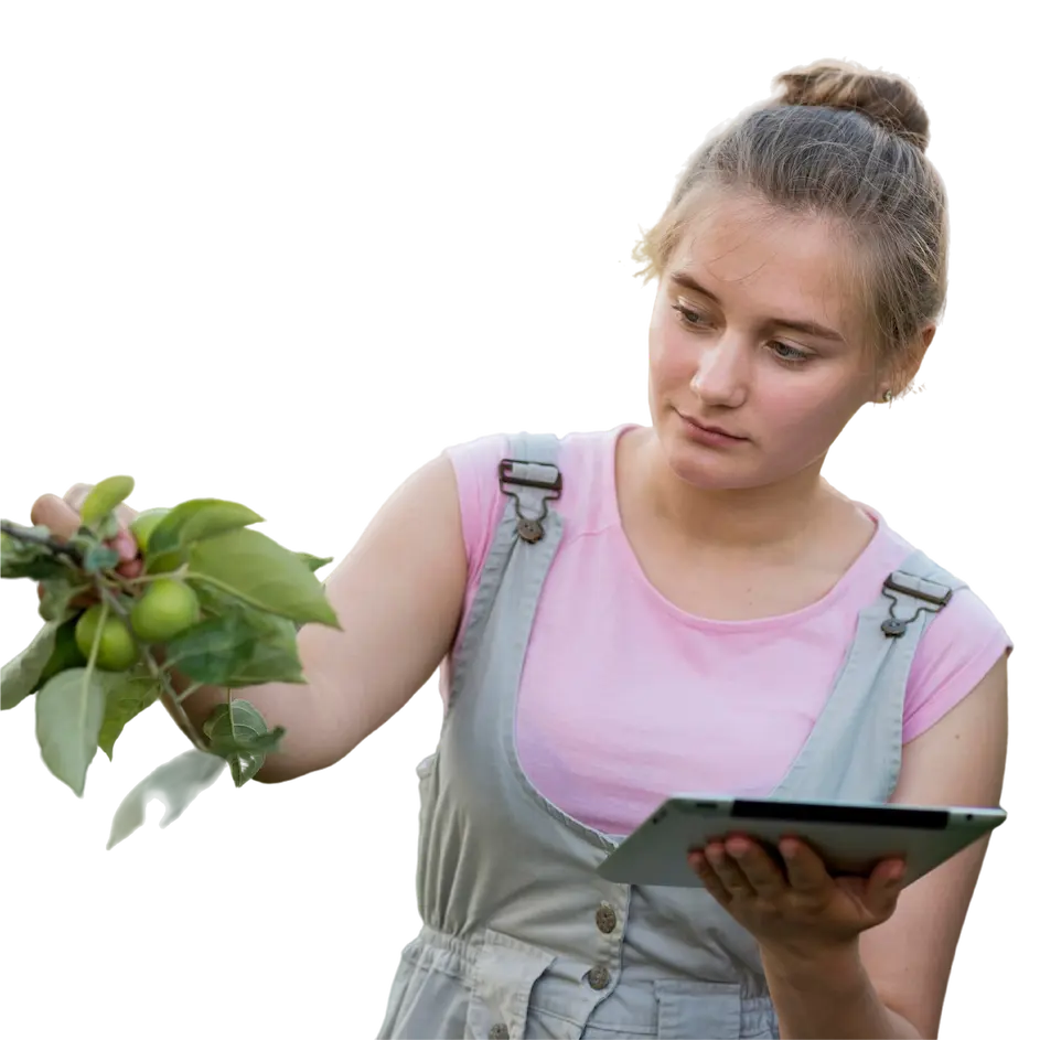 Interfaz de CD Campo para gestionar labores de huerto, seguimiento fenológico y alertas en terreno